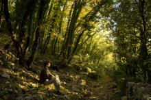 Quiet contemplation in the forest of St Francis's Hermitage which is situated up the hill from Fontemaggio